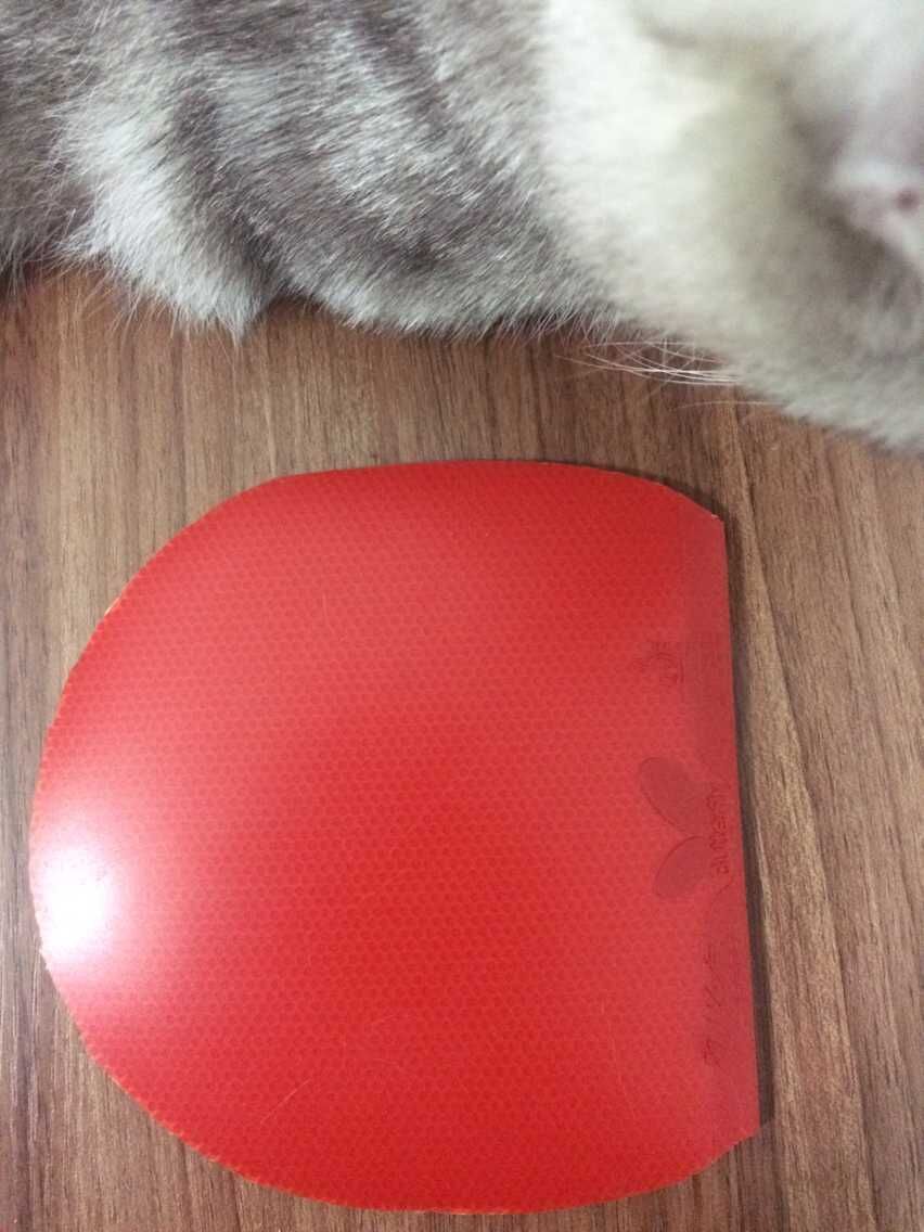 ���۳����������+���speed