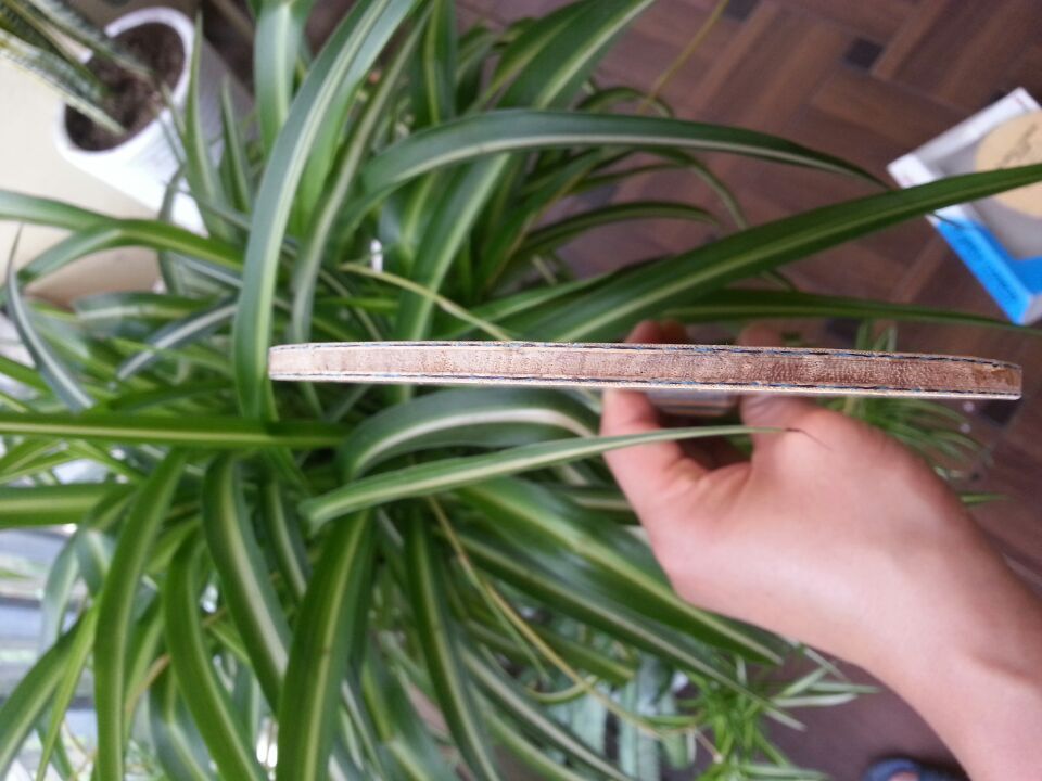 �����Լ۱�N��vis