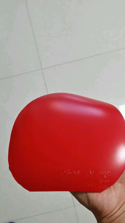 Ķ̽MAXMAXQ357516776
