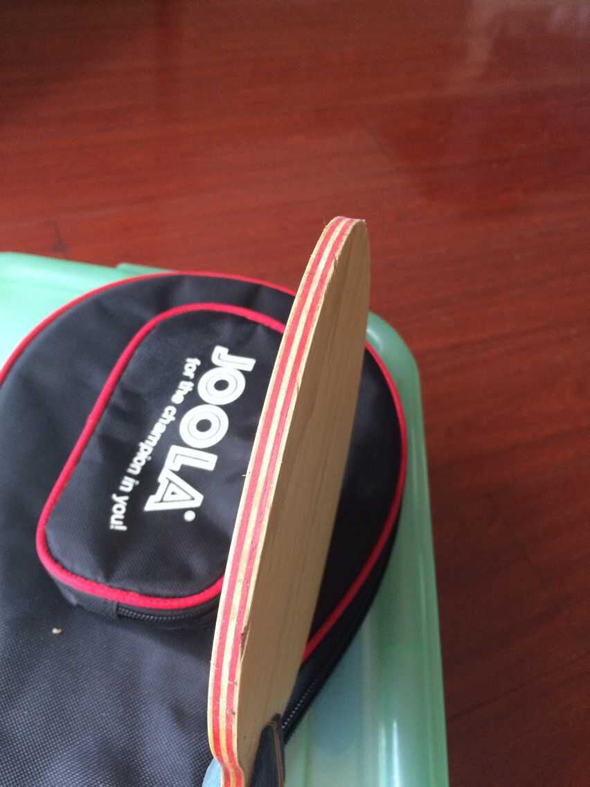 joola viva ST .