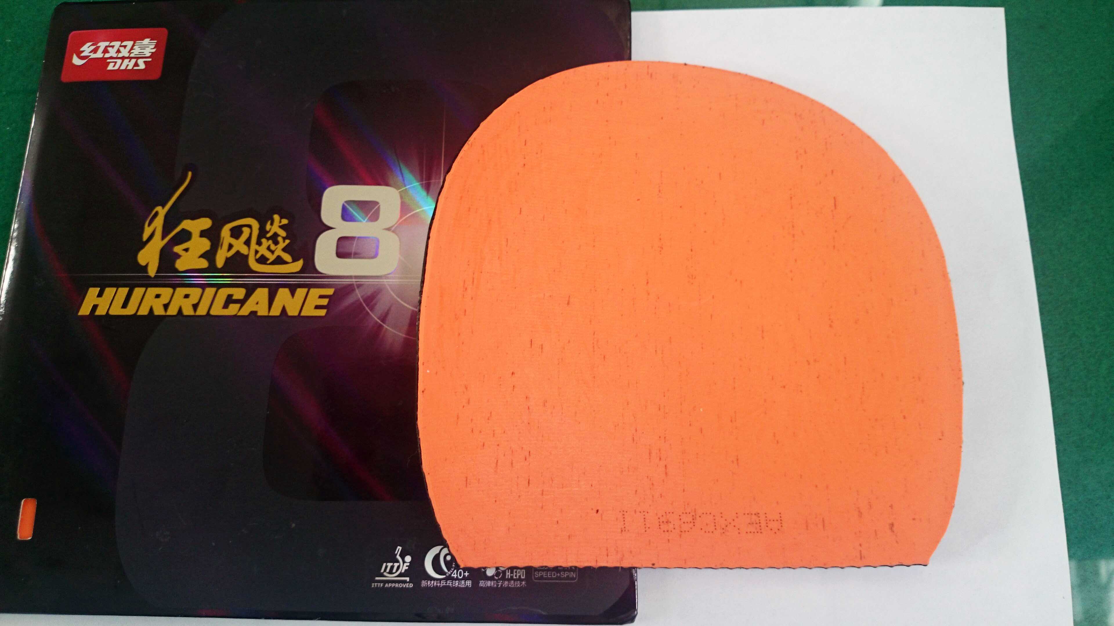 ֱ������8����