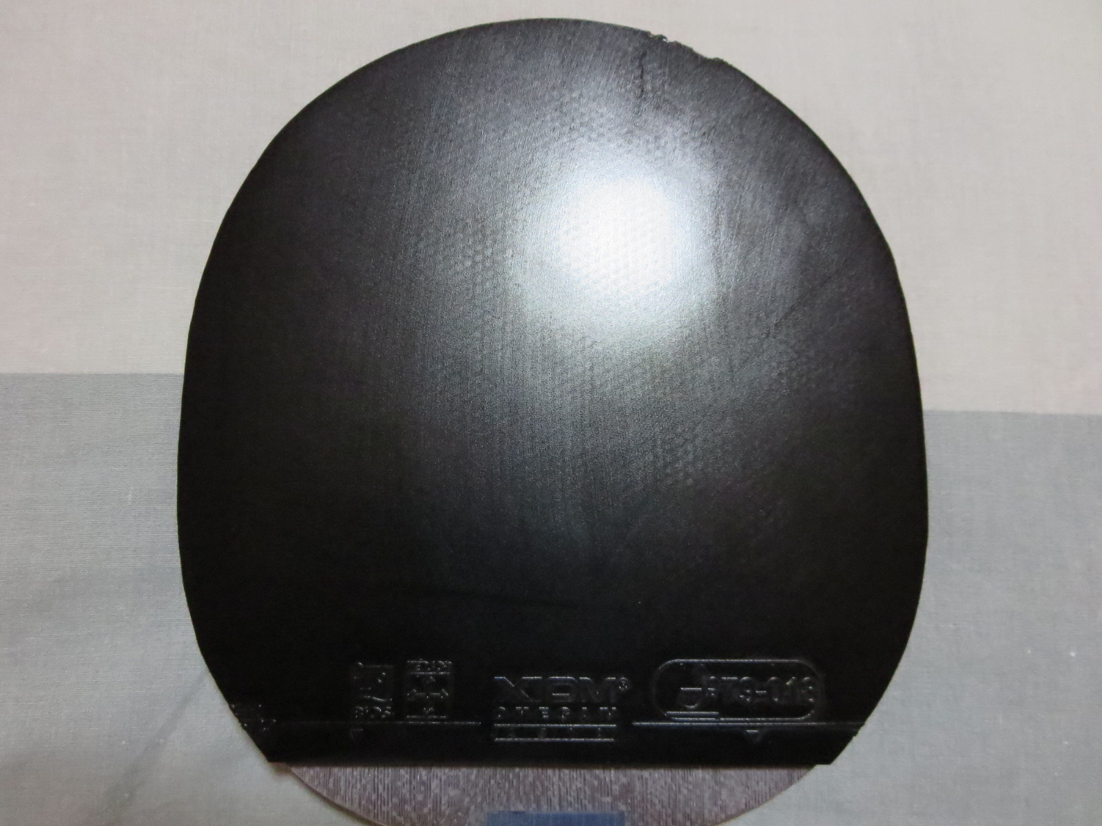 ������ŷ����4���ް��׽� 9.5����