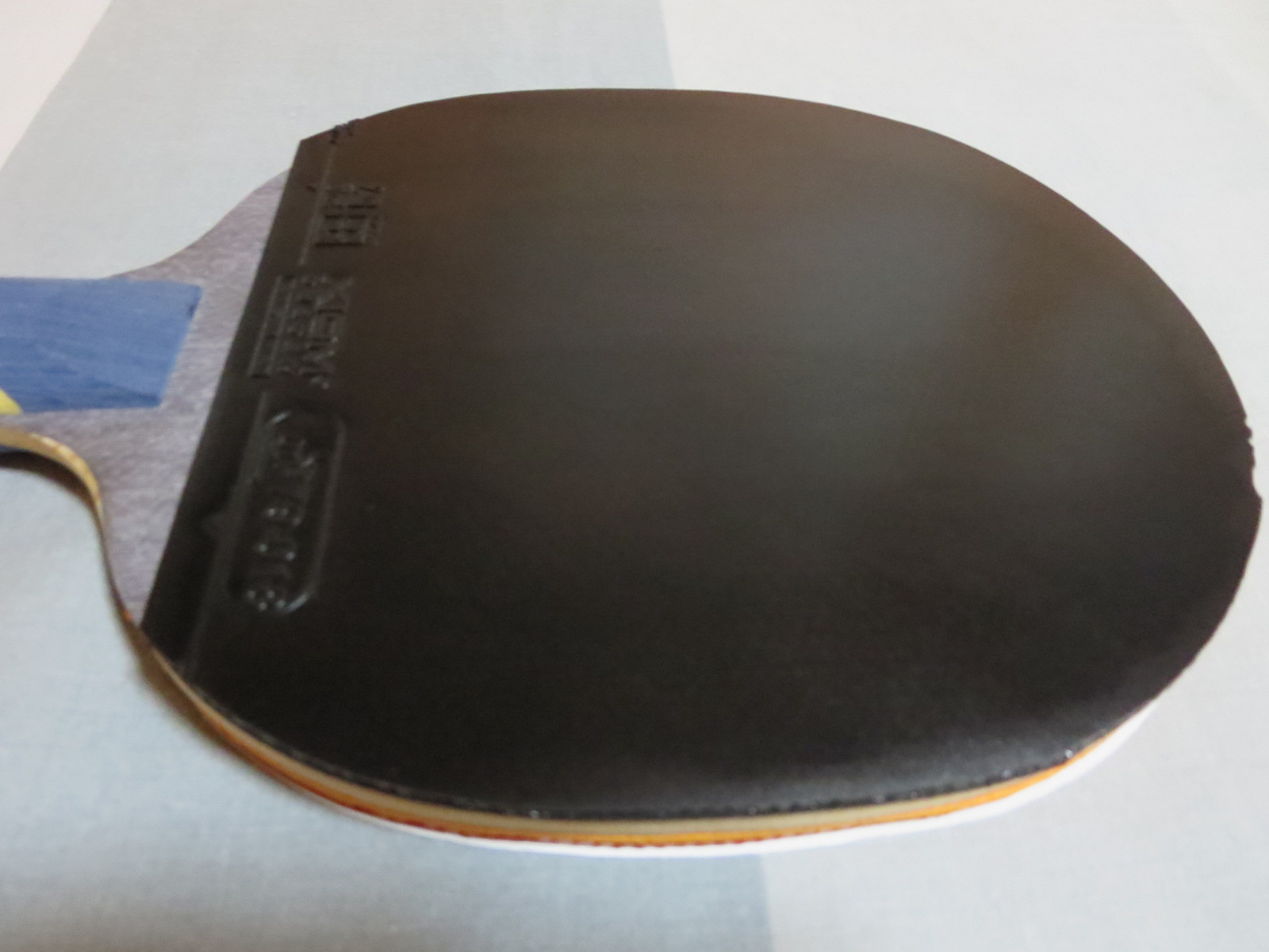 ������ŷ����4���ް��׽� 9.5����