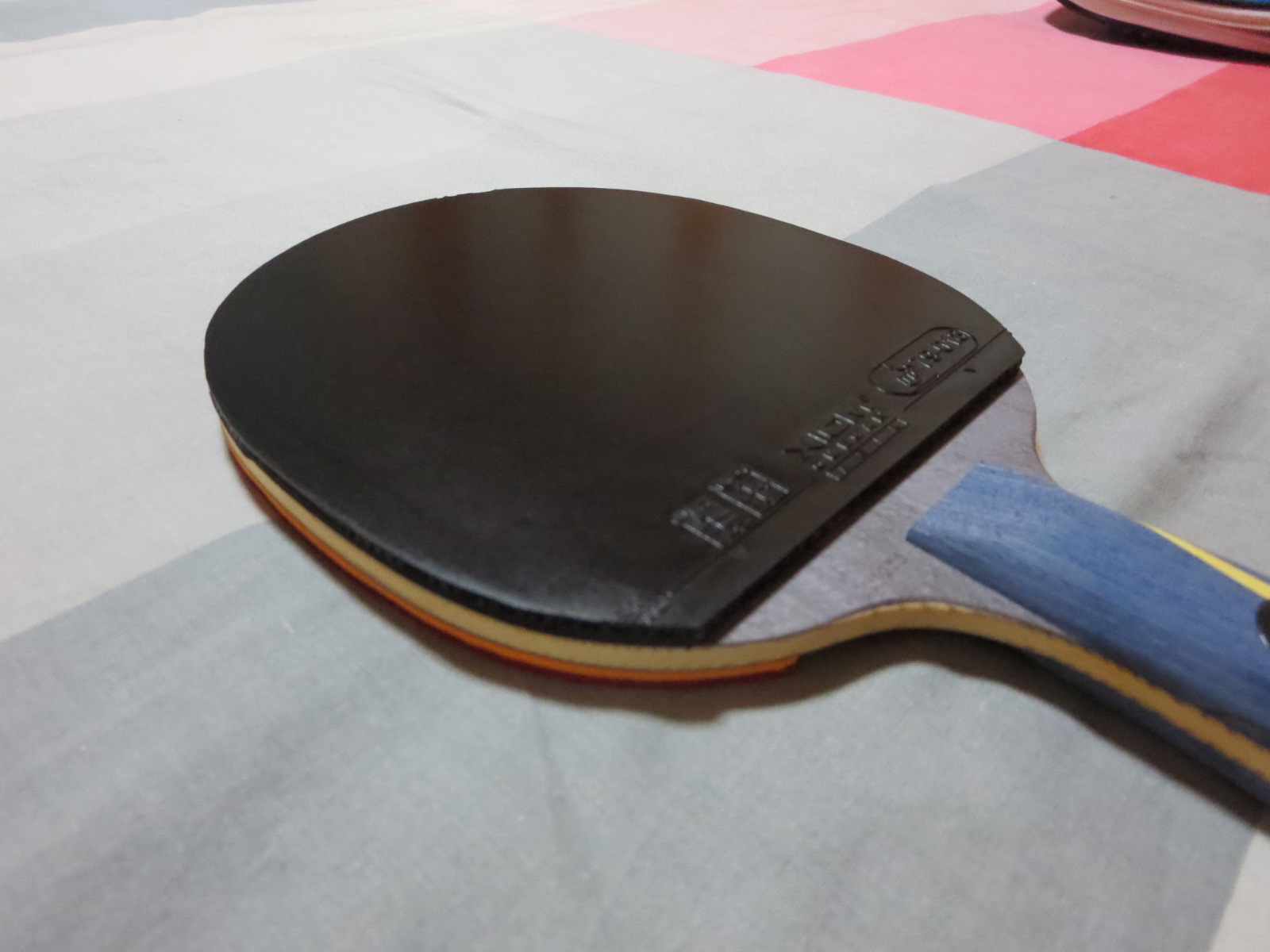 ������ŷ����4���ް��׽� 9.5����