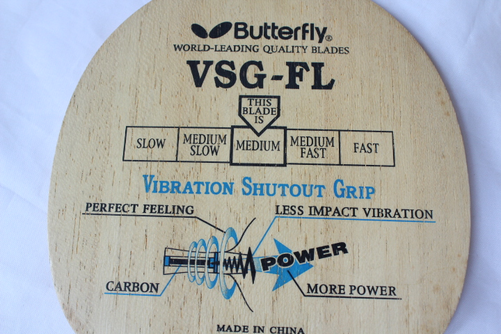 VSGӣ֧