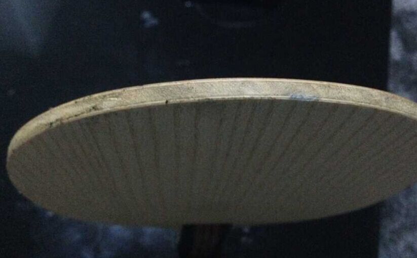 ���ѳ��л�������С����550����