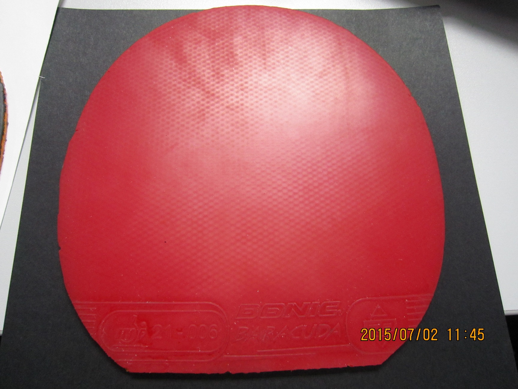 ������Donic Baracuda ����˰Ϳ�һ��һ��