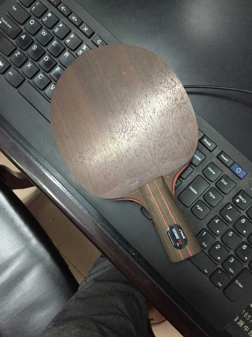 [Ƽ]ŷstigasense7.6    9360ʻ